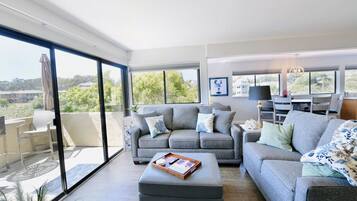 Smart TV, fireplace, video games, books