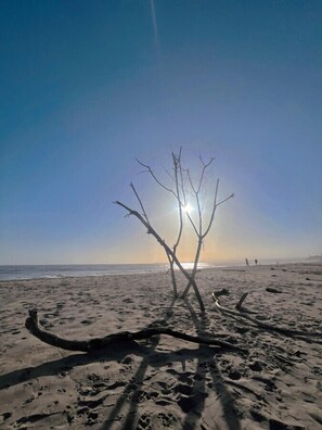 Plage à proximité