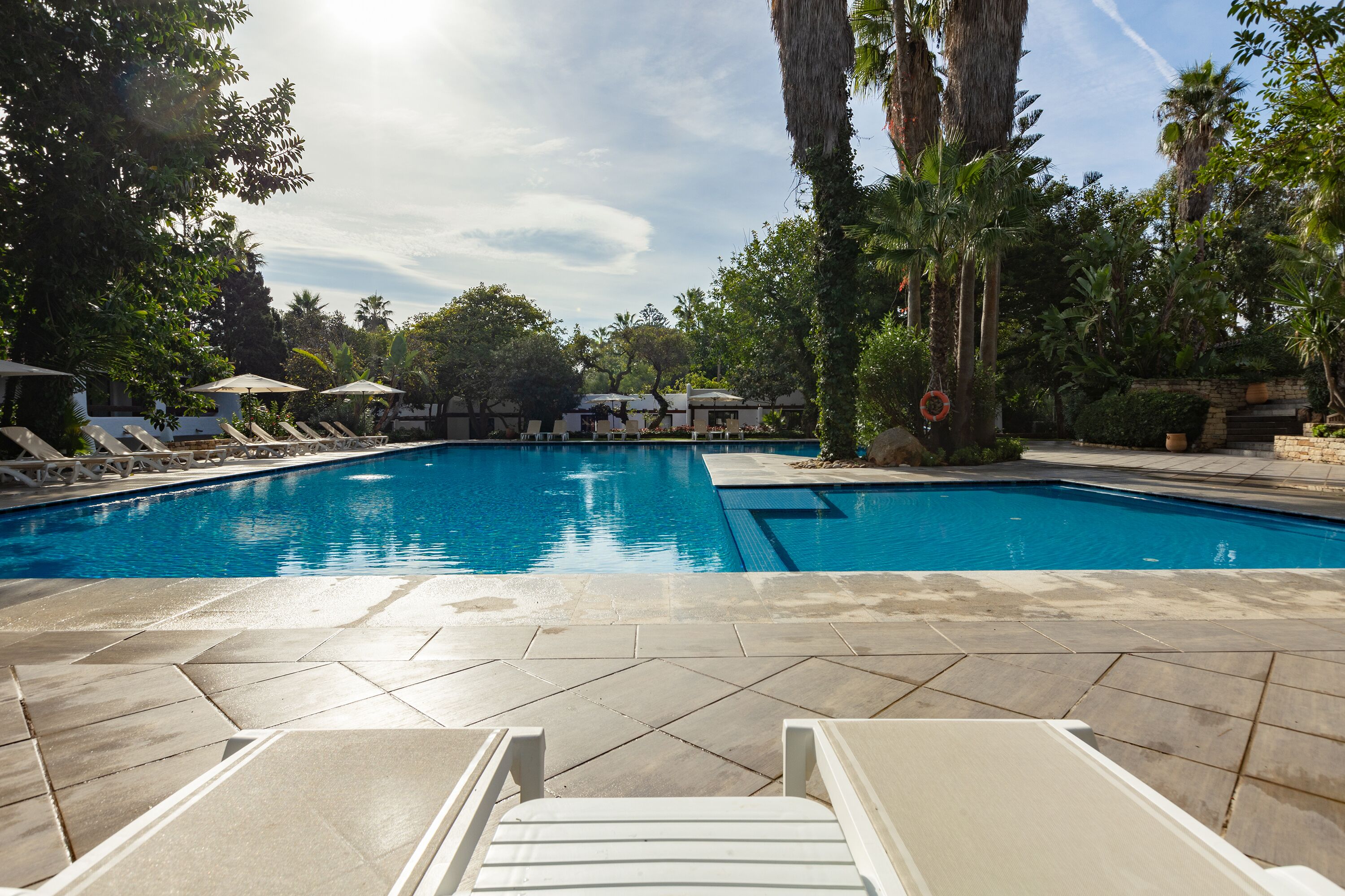 A swimming pool with lounge chairs and umbrellas, surrounded by palm trees and greenery.