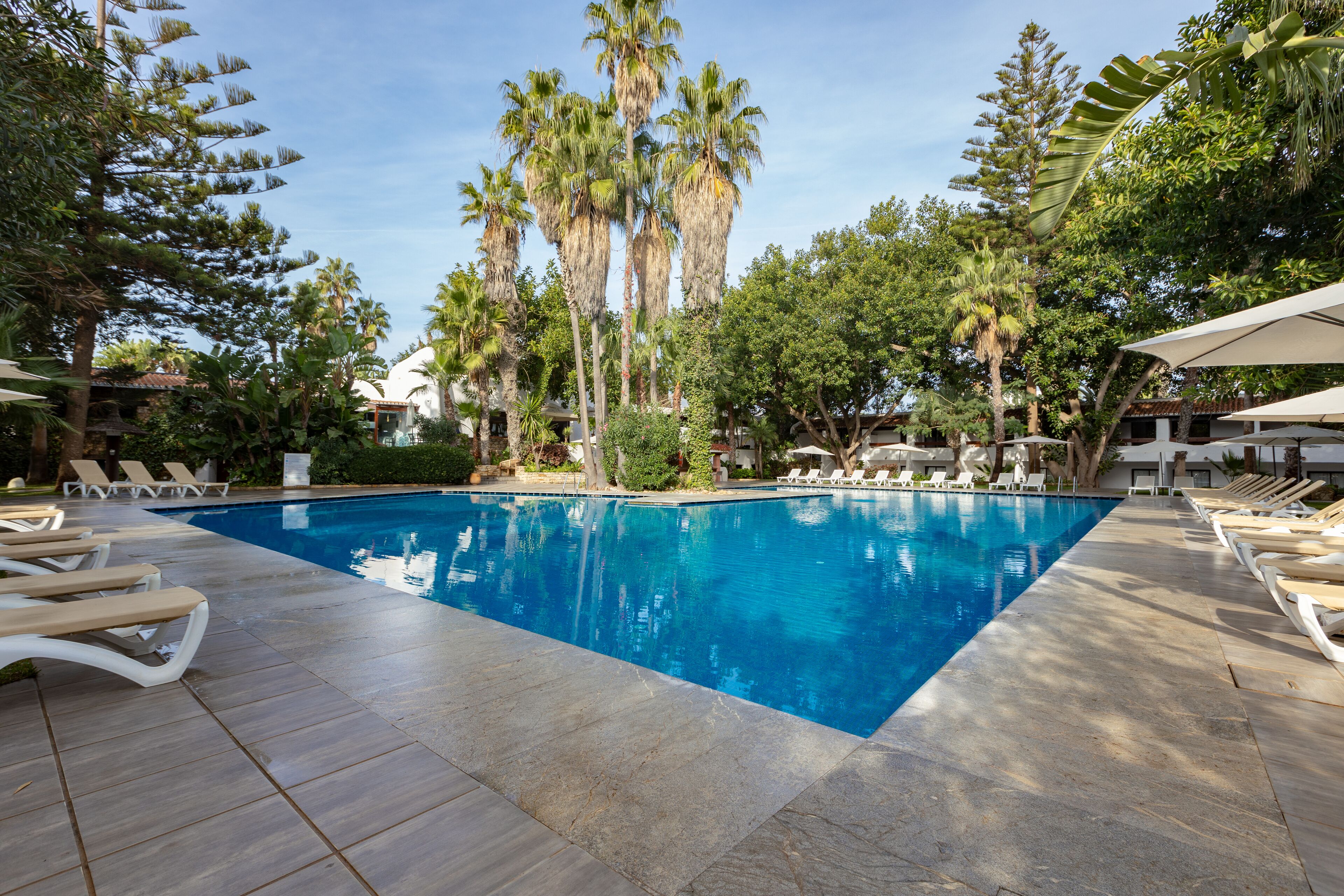 Une piscine avec des chaises longues et des palmiers.