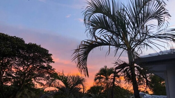 A sunset with palm trees and a house in the background.