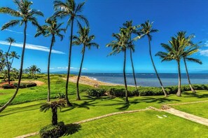 A tropical landscape with palm trees, a clear blue sky, and a view of the ocean. - Menehune Shores #220 – Beachside Bliss with Panoramic Ocean Views (Kihei, Maui)