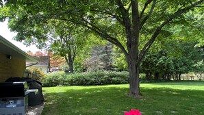 Un jardin bien entretenu, avec une pelouse, un grand arbre et un espace barbecue.