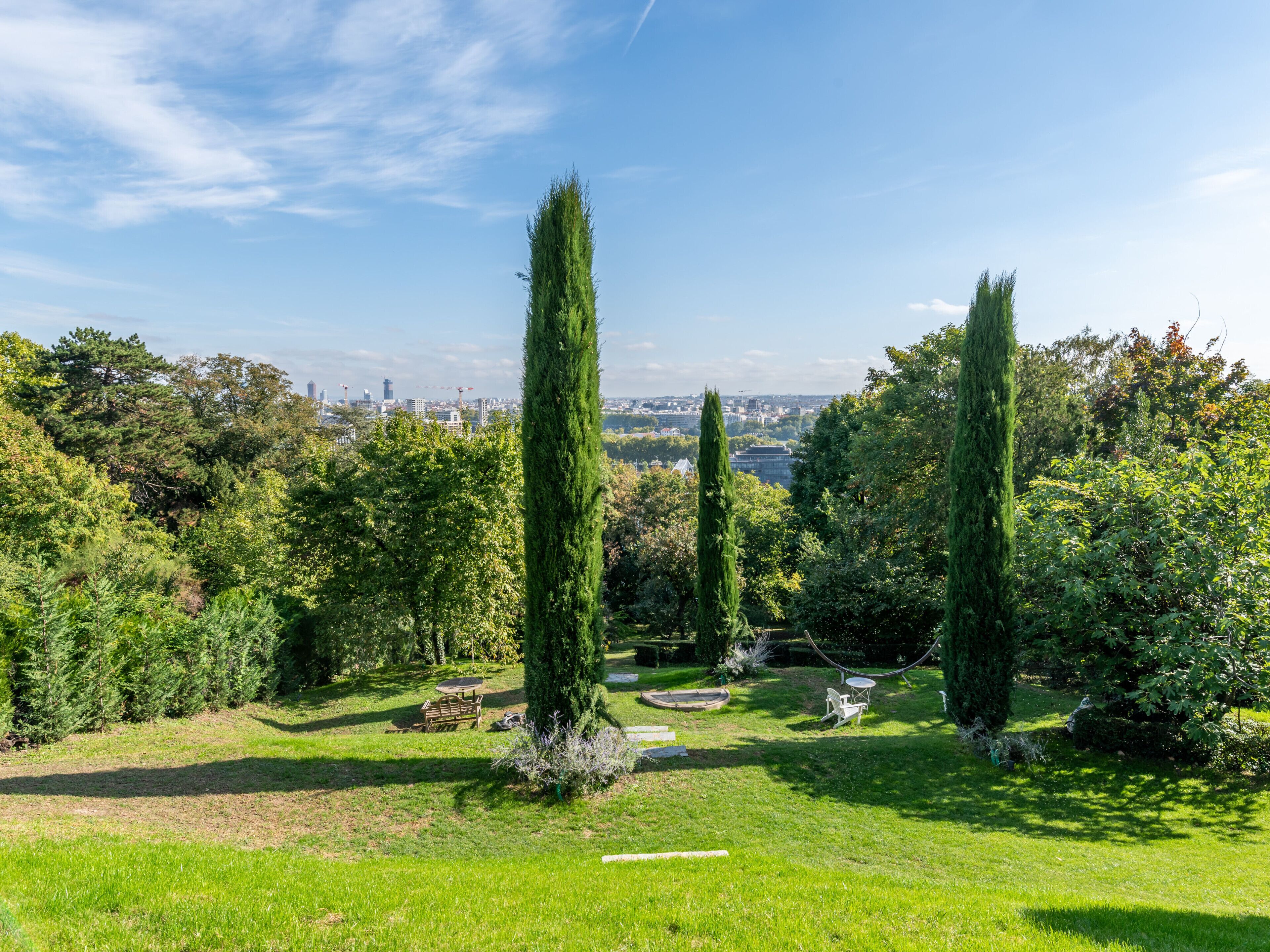 A park with tall cypress trees, a grassy area, and a view of a cityscape in the background.