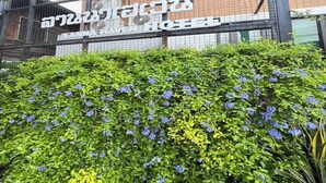 Een hotelingang met een bord in een vreemde taal, omgeven door weelderige begroeiing en bloeiende planten.