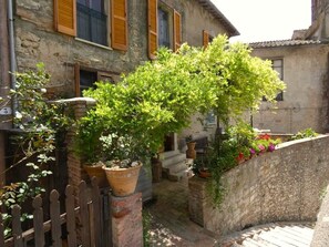 Property grounds - Scappo in Umbria, La Loggia (Amelia)