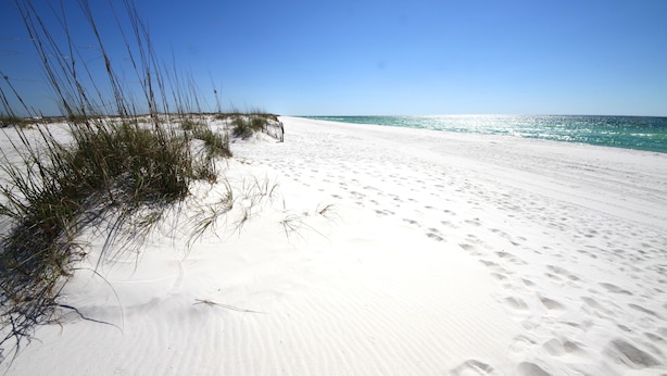 A sandy beach with footprints and sparse vegetation.