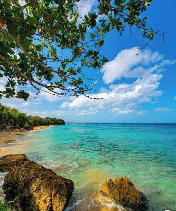 Camastros y toallas de playa 