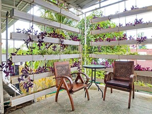 Un espacio de estar al aire libre cubierto con sillas de madera y una pequeña mesa, rodeado de estantes con jardín vertical y diversas plantas.