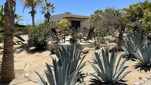 A desert garden with agave plants, palm trees, and a patio with chairs.