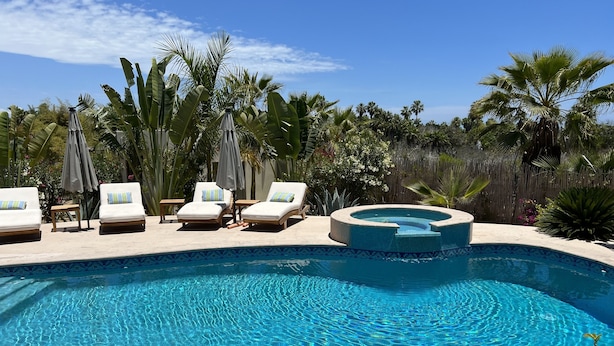 A swimming pool with lounge chairs and umbrellas, surrounded by tropical plants.