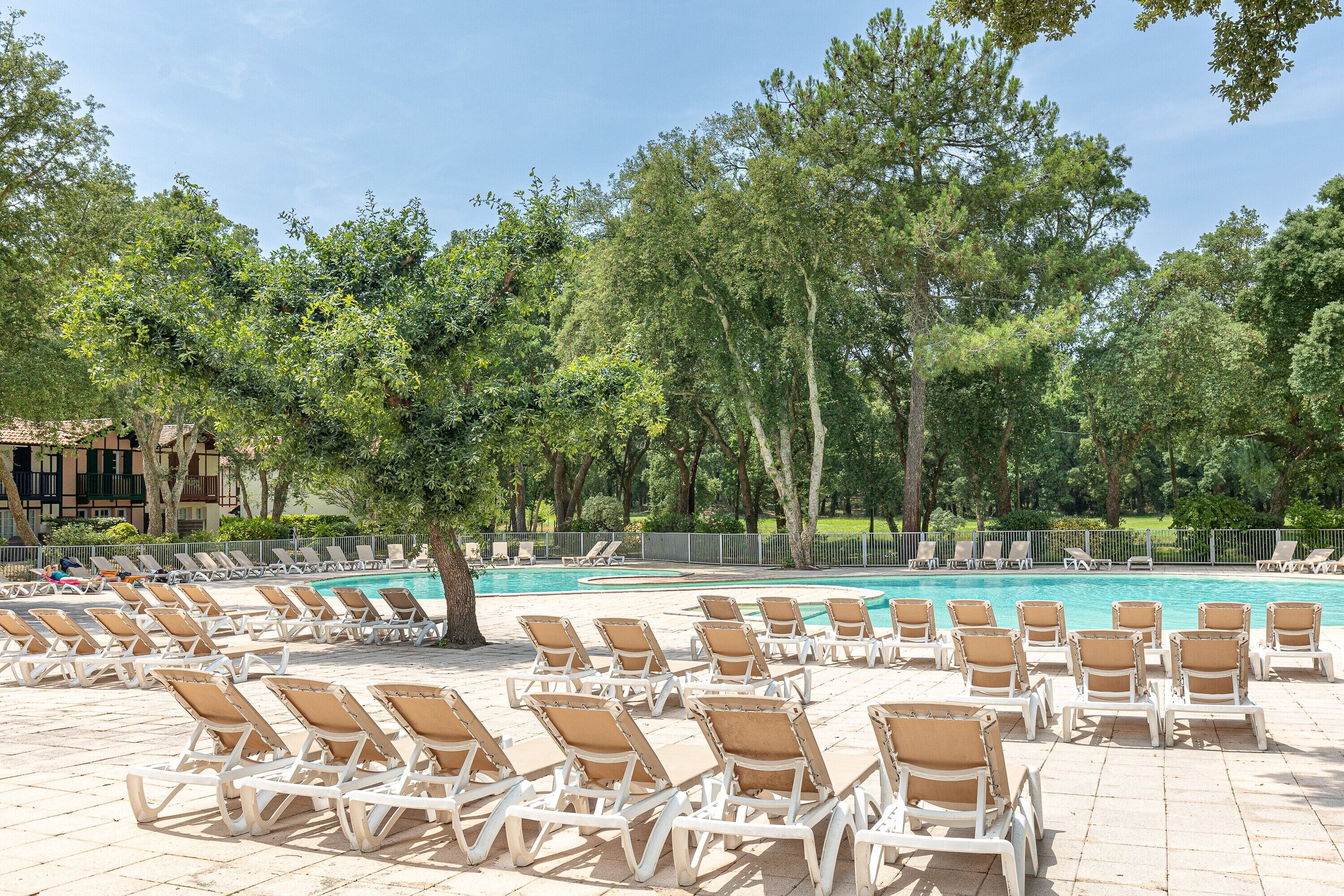 Un espace aménagé au bord de la piscine, avec des chaises longues disposées en rangées, une piscine et des arbres environnants.