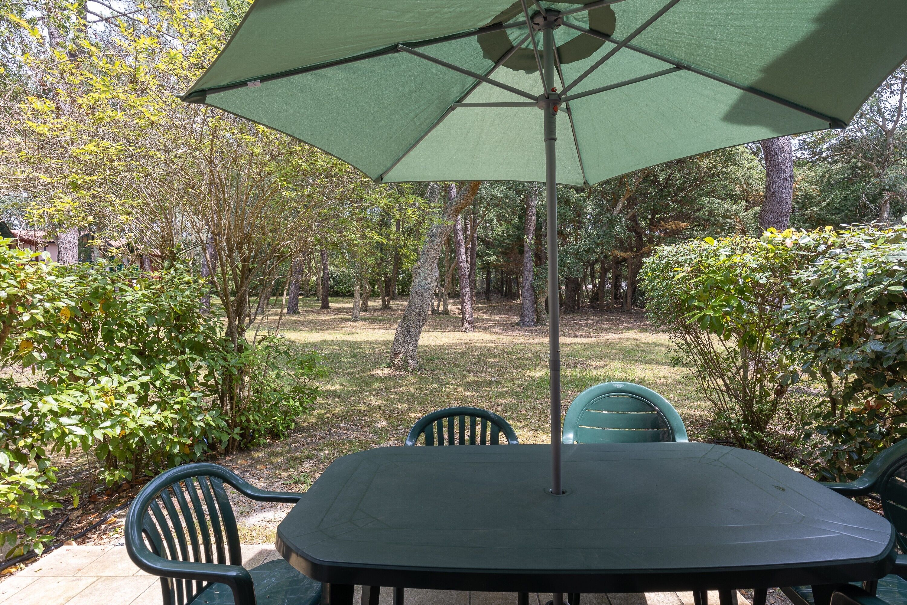 Eine Terrasse mit Tisch und Stühlen, umgeben von Bäumen und Pflanzen.