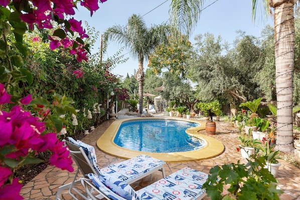 A swimming pool with lounge chairs, surrounded by potted plants and trees.