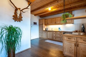 A kitchen with wooden cabinets, a hanging plant, and a mounted deer skull.