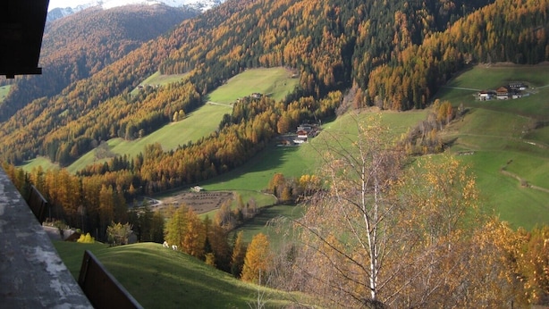 Paisaje montañoso con un valle, un pequeño edificio y un árbol en primer plano.