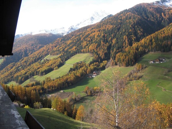 Property grounds - Apartment 'Oberhöhe Apt Talblick' with Mountain View, Private Terrace and Wi-Fi (Gemeinde Ahrntal)