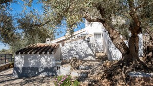 A traditional white building with a tiled roof, surrounded by olive trees and a small garden with pink flowers.