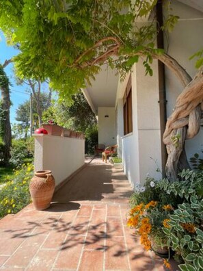 Overnattingsstedets uteområder