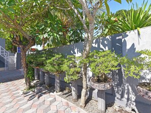 Un jardín con diversas plantas en macetas, árboles, un camino empedrado y un muro.