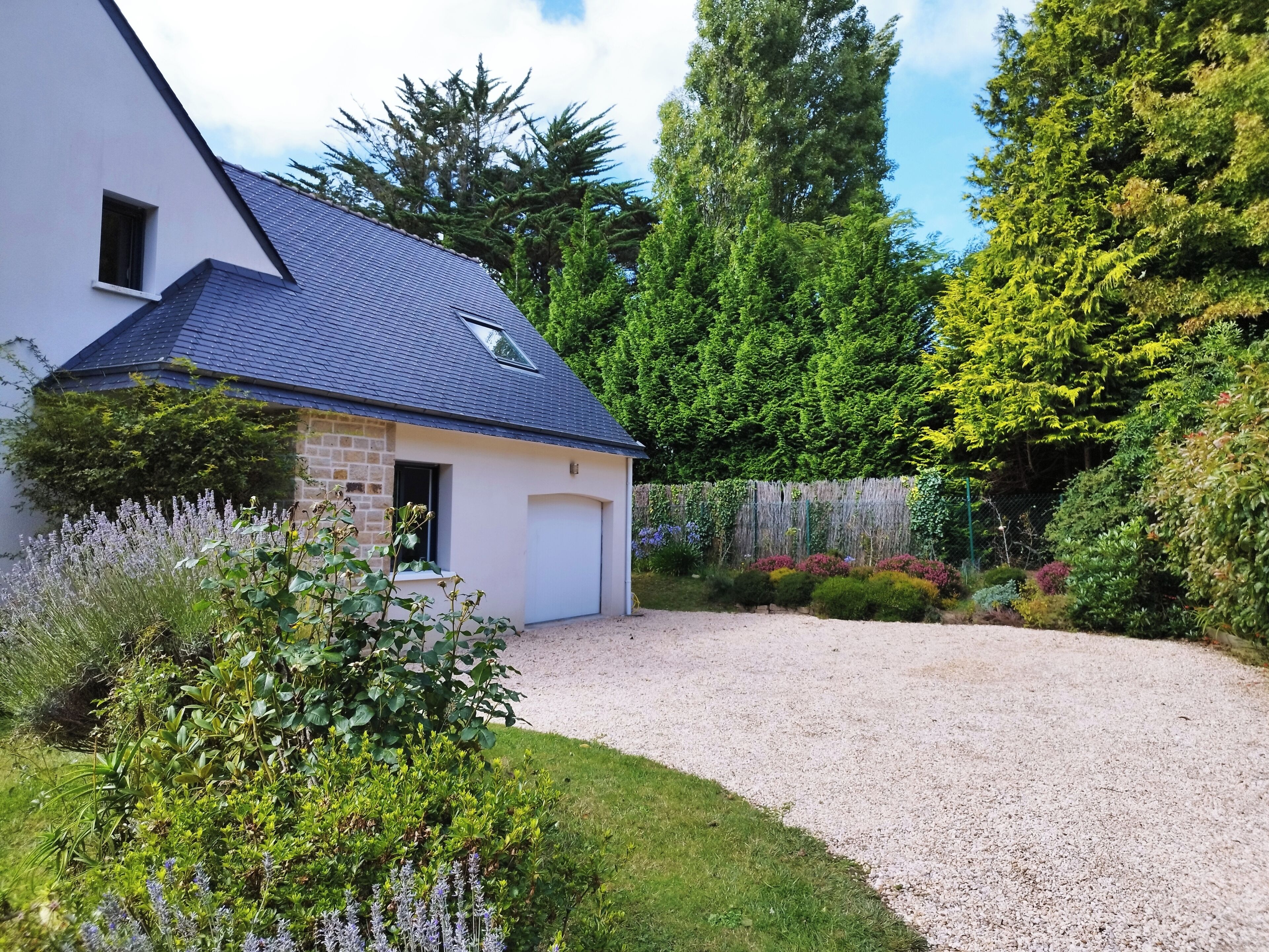 A house with a gravel driveway, surrounded by lush greenery and trees.