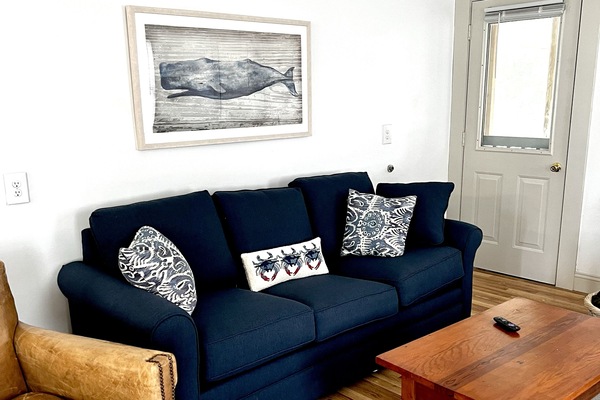New Queen Size Sleeper Sofa is super comfy.