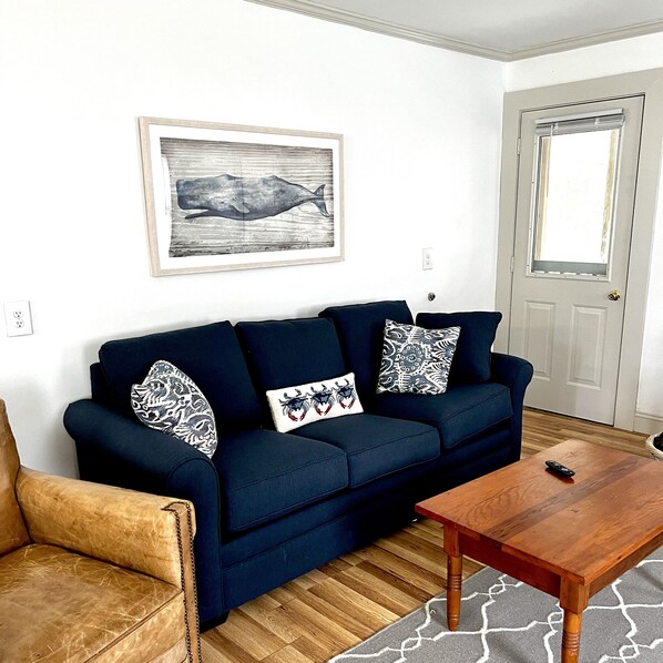 TV connectée, cheminée, livres