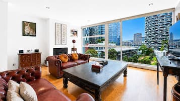 TV, fireplace, offices