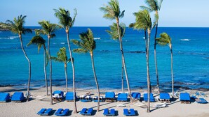 A beach with rows of blue lounge chairs and palm trees. - Mauna Lani Fairways #204: Tropical Home w/spa, lanai, lagoon pool & activities (Kamuela)