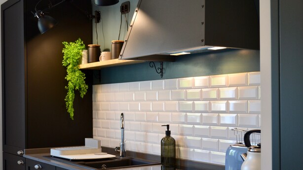 A modern kitchen with a glass countertop, a stainless steel sink, a toaster, and a potted plant. - Cosy Home Riviera 3BDR (Chiavari)