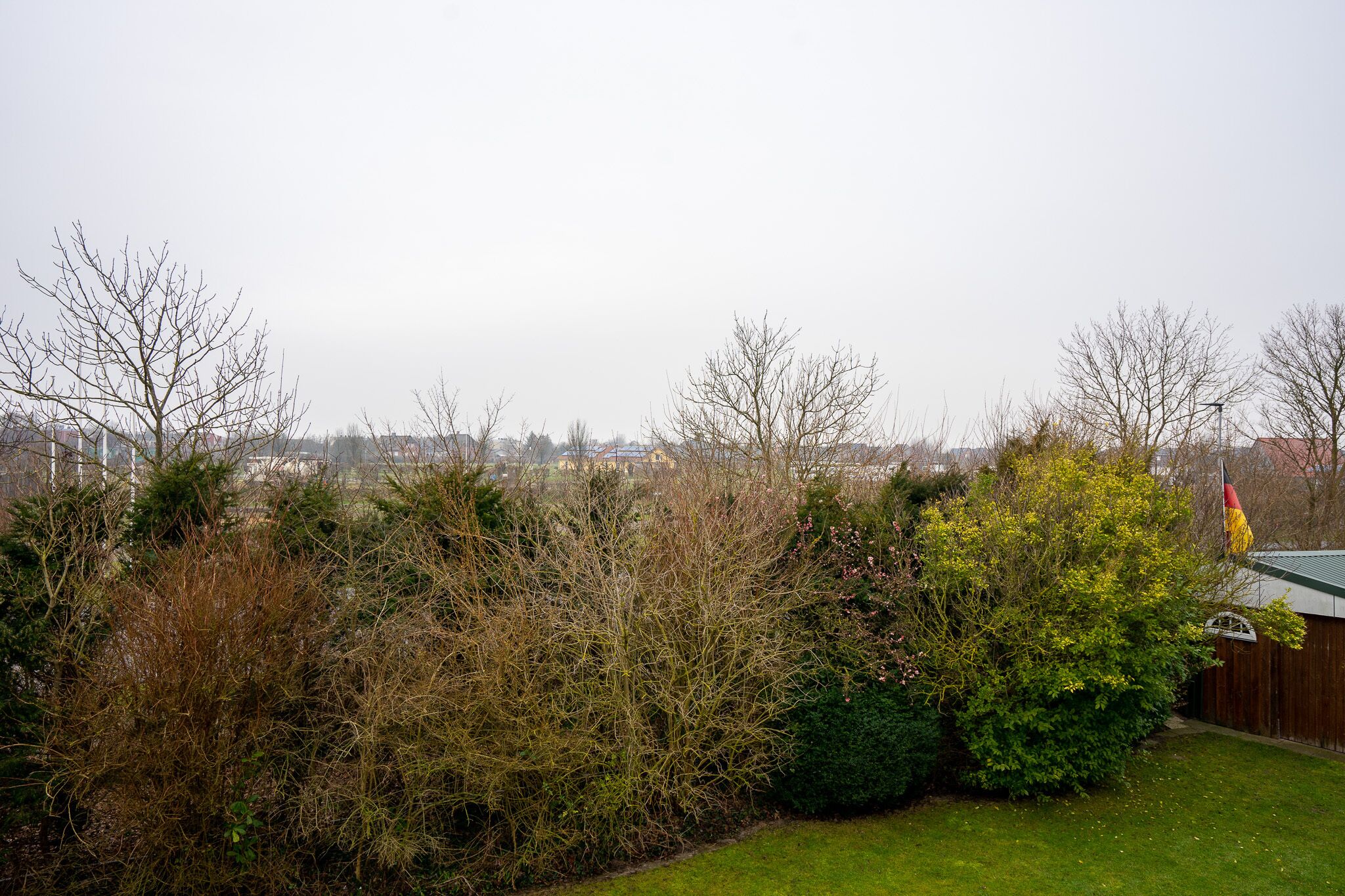 A residential area with a wooden fence, dense shrubbery, and a clear view of a distant town.