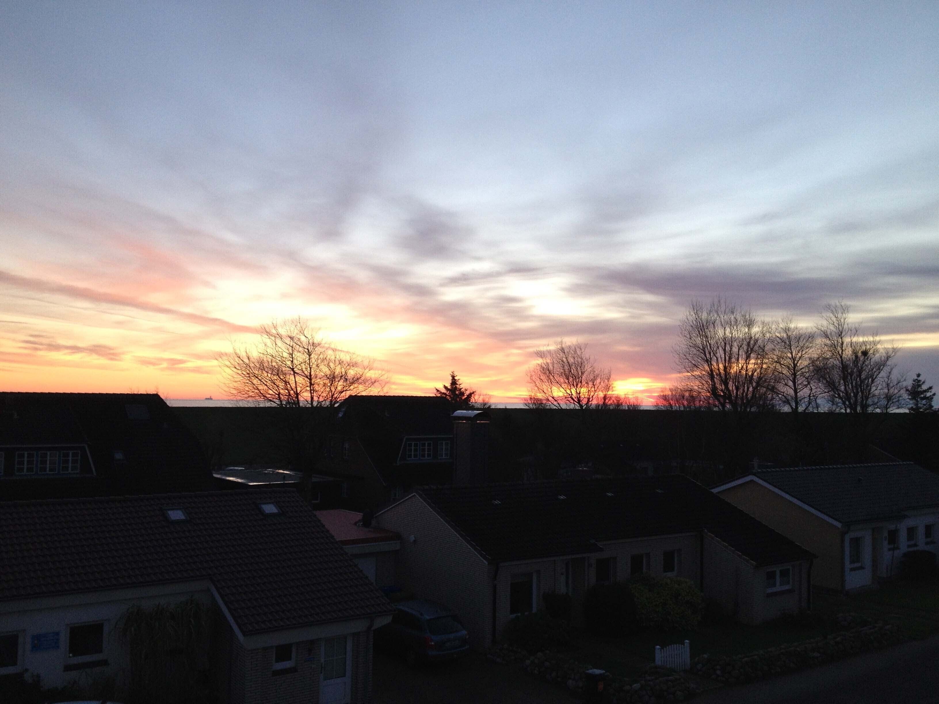 Quartiere residenziale con case e alberi al tramonto.