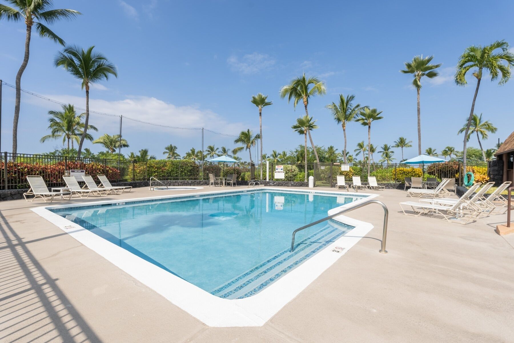 A swimming pool with lounge chairs and palm trees in the background.
