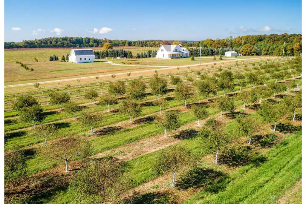 Birds Nest: Farm Stay with orchard views.