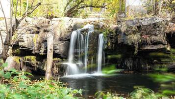 A waterfall cascading over rocks into a calm pool surrounded by greenery.