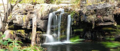 Une cascade d’eau qui dévale les rochers et se jette dans un bassin paisible, entouré de verdure.