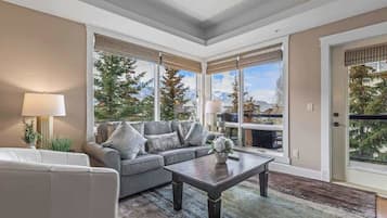 TV, fireplace, stereo, offices