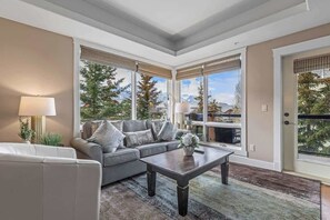 TV, fireplace, stereo, offices