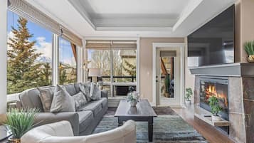 TV, fireplace, stereo, offices