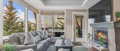 Télévision, cheminée, chaîne hi-fi, espaces bureaux