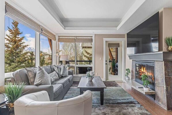 TV, fireplace, stereo, offices