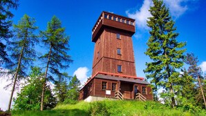 Severdighet