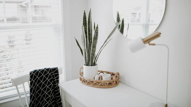Une pièce blanche avec une fenêtre, un miroir rond, une plante en pot, une lampe et une chaise recouverte d’une serviette à motifs.