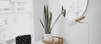 NEW Family Friendly Maple Mansion | Sleeps 28