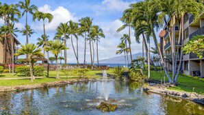Unclassified image, 2 of 28, button - Papakea C-206 (Lahaina)