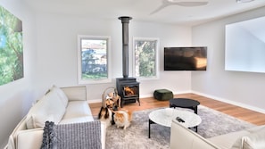 TV, fireplace