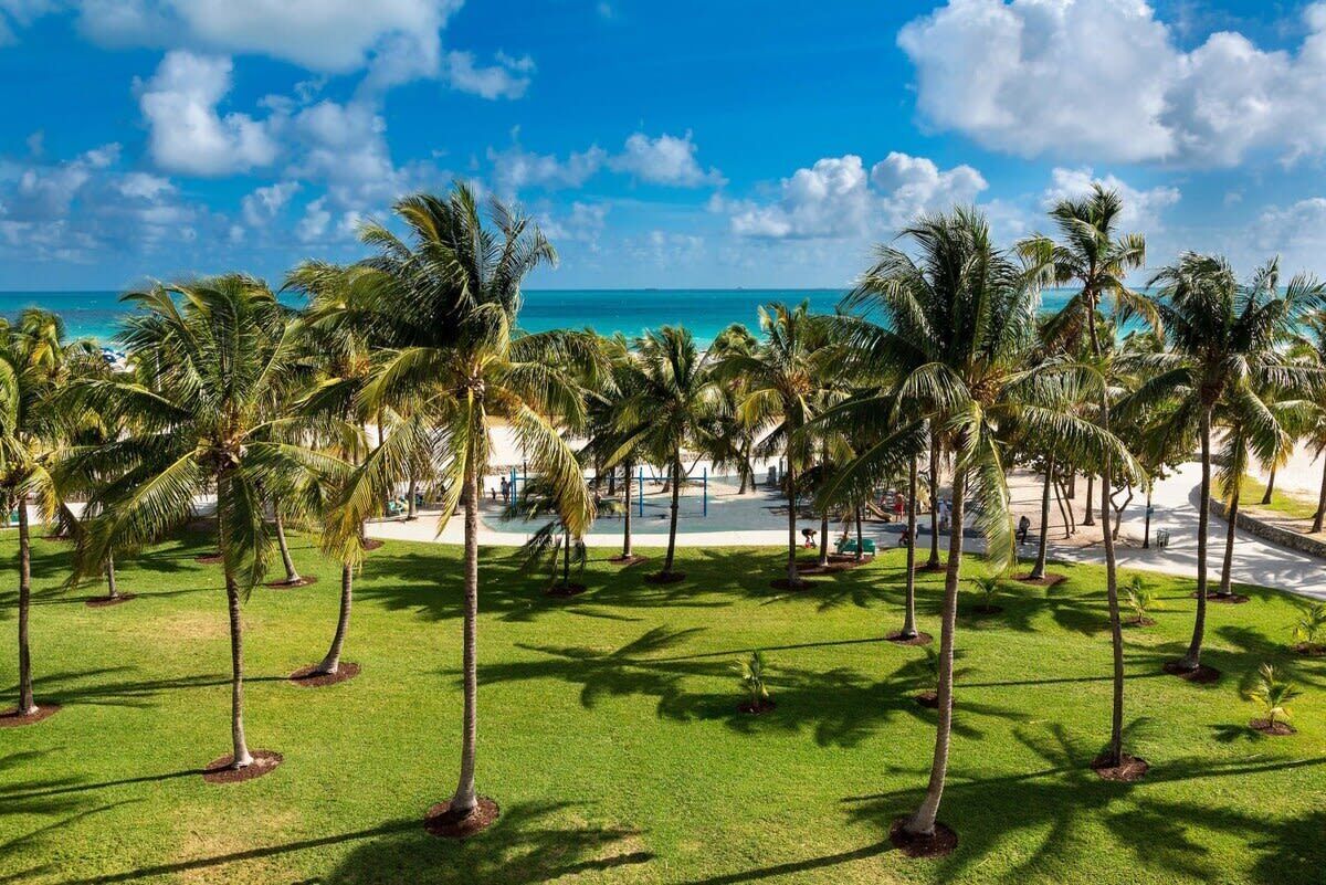 A tropical resort with palm trees and a beach view.
