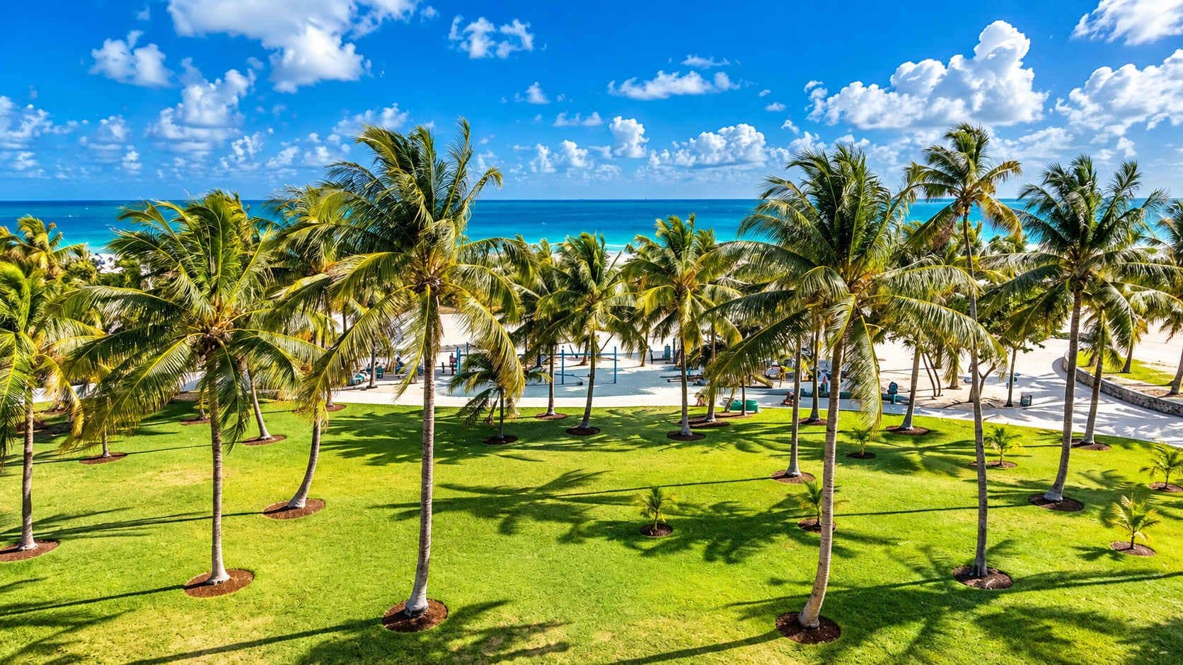 A tropical resort with palm trees, a well-maintained lawn, and a view of the ocean.