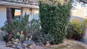 Ein Garten mit Kakteen und Sträuchern, ein weißes Gebäude mit einer Tür sowie eine Mauer mit einem Schild.