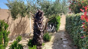 Ein schmaler Pfad, gesäumt von dichtem Grün, mit einem Fahrrad auf der linken Seite.
